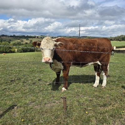 Fresh Look for a Farm in Shelley — Anthracite Windows Installed!